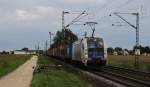  Am 09.09.2010 in Mangolding war 1216 950 Wiener Lokalbahn mit Gterzug.