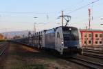 183 704 der WLC mit einem Autozug ri Passau (Pag) hier zum sehen in Tulln/Donau; am 09.11.2012