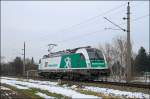 1216.960 fuhr am 29.03.13 als SLZ 98190 von Hegyeshalom nach Ebenfurth, hier kurz vor den Ankunft.