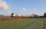 1216 955-5 mit Containerzug in Fahrtrichtung Norden.