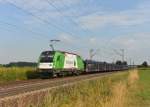 1216 954 mit einem leeren Autozug am 06.08.2013 bei Plattling.