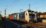 Noch einmal die Wiener LokalbahnCargo, diesmal in Form der 1216 953! Im letzten Lichtschein des 29.09.13 rollt die starke sterreicherin mit einem Containerzug durch Scheeel Richtung Sden.