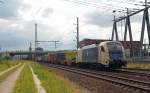 Am 02.07.14 passiert 1216 953 der Wiener Lokalbahn auf der Fahrt in den Containerbahnhof Waltershof das Dradenauer Abspannwerk.