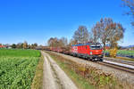 1293 184 mit einem Güterzug am 06.11.2020 bei Langenisarhofen.