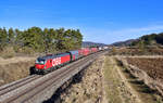 1293 054 mit EZ 45904 am 20.02.2021 bei Kerschhofen.