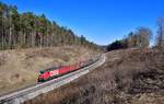 1293 180 mit einem Güterzug am 06.03.2021 bei Sinngrün.