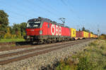 1293 069 ÖBB mit gelben und braunen Wagen, welche sich schön in den golden Herbst mit ein bringen am16.10.25 bei Eglharting
