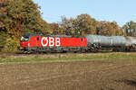 1293 005 ÖBB am 30.10.25 bei Eglharting.