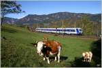 Das Flair einer Alpenbahn kann man auf diesem Bild gut erkennen.