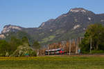 4024-056-6 vor der Bergkulisse Vorarlbergs, Altach.