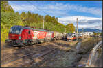 1293.018 und einen Ente liefern sich ein Rennen im Bahnhof Villach ZVB der bereits in der Haltestelle Warmbad mit den Einfahrsignalen beginnt.