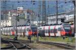 Ententreffen in Graz Hbf.