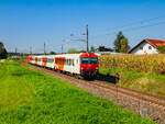 Neudorf ob Wildon. Der REX 1981 von Graz nach Bad Radkersburg über Spielfeld-Strass ist hier am 26.09.2023 mit dem Steuerwagen 8073 201 vorne bei Neudorf zu sehen.