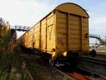 Gabs 31 81(A-SWIE)1810 242-9, unter dem zum Abriss verurteilten Bahnsteg in Ried; 191021