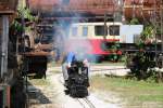 Am Gelände des Eisenbahnmuseums Ljubljana gab es am vergangenem Wochenende viel zu entdecken.