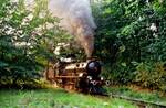 Dampfzug der Wiener Liliputbahn, 15.08.1984.