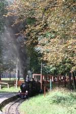 Dampflok 2 der wiener Liliputbahn in der Hst.