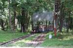 Dampflok 2 der wiener Liliputbahn am 14.August 2011 kurz vor der Hst.