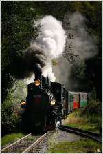 Eisenbahnfest im Feistritztal – 100 Jahre Feistritztalbahn 1911-2011.