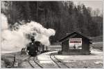 U8 im Zuge einer Sonderfahrt fr eine englische Reisegruppe auf der Feistritztalbahn  am 6.2.2012 in Rosegg.