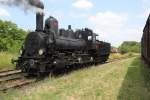 Die GKB 372 fährt zum Vergnügen von Besuchern an Bord, auf dem Gelände des Heizhauses in Strasshof an einem  Dampftag  eine kurze Strecke vor bis zur Einmündung in die Nordbahn und