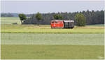 From Winequarter to Woodquarter :O)   Durch die grünen Felder des Waldviertels, fährt die Diesellok 2143 070 mit dem Reblaus Express 16972 von Retz nach Drosendorf.