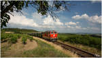 Die Blutorange 2143.070, fährt mit dem Reblaus Express 16974, durch die Weinberge nahe Retz in Richtung Drosendorf.