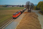 Der Reblausexpress in Pleißing-Waschbach. (01.11.2021)