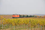 Heute war ist der letzte Tag in diesem Jahr, an dem Reblausexpress mit einem lokbespannten Zug geführt wird. Hier im Bild der Mittagszug mit der 2143.070 in den Retzer Weinbergen. (01.11.2021)