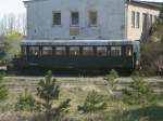 Bis in den Norden hat sich dieser sterreicher verirrt.Aufgenommen,am 05.Mai 2013,in Prora