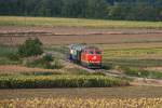 Hochsommer im niederösterreichischen Weinviertel. Unter sengender Hitze bringt die BR 2143 070 den Nostalgie Express  Leiser Berge  von Ernstbrunn nach Wien Praterstern. Die Aufnahme entstand kurz vor Stetten Fossilienwelt, am 08.08.2015.