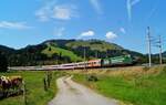 Am 15. August 2023 war die für den österreichischen Bierproduzenten Gösser Werbung tragende 1016 021 dem EuroCity 163  Transalpin  (Zürich HB - Graz Hbf) auf dem Abschnitt Buchs SG 
 - Selzthal vorgespannt und konnte in der Berglandschaft bei Hochfilzen aufgenommen werden.