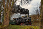 Am 8.12.2018 bringt die 498.04 den Adventzug bei Letten nach Grünburg.