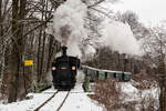 298.102  Sierning  bei der Fahrt durch die winterliche Himmlitzer Au am dritten Adventsontag 16.12.18