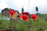 Abbruchstimmung war auch am 24.5.2014 schon in Leoben Hinterberg.