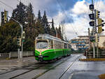 Graz. Auf  Freie Fahrt  springt das Signal bei der Haltestelle Maut Andritz. Der TW 504 fährt am 23.01.2024 durch die Grünphase als Linie 3 Richtung Krenngasse.