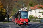 Tw.602 verlt die Haltestelle Schlo Eggenberg.(19.10.2013)