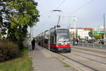 Wien Wiener Linien SL 31 (B1 728) XXI, Floridsdorf, Brünner Straße (Hst.