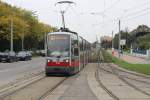 Wien Wiener Linien SL 67 (B1 739) Neilreichgasse / Frödenplatz am 11.