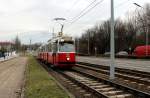 Wien Wiener Linien SL 67 (E2 4309 (Rotax 1978) Neilreichgasse am 15.