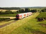 Die Bahnstrecke der Burgenlandbahn zwischen Deutschkreutz und Unterpetersdorf führt hier durch das Weinbaugebiet des Blaufränkischlandes, ein Bild aus vergangenen Zeiten, auf diesem