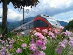 Blühende Blumen an der Haltestelle Berg im Drautal und der im Hintergrund abfahrende R 4865 (Lienz - Spittal-Millstättersee), 2.6.2015