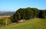 Die StB Triebwagen ET2 (Baujahr: 1930, Umbau: 1991) ist auf dem Weg aus Feldbach nach Bad Gleichenberg zwischen Hst. Fischa und Hst. Burgfried. 
14.10.2023.