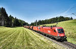1116 282-5 und 1216 147-9 fahren mit einem Güterzug, auf der Fahrt in Richtung Jesenice, bei Schlatten, nahe Rosenbach vorüber.