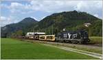 Bei idealen Wetterverhltnissen fuhr heute die neueste aller Werbeloks, die 1116 153  CATS  mit dem Autozug LGAG 46734 von Tarvisio nach Breclav.Danke an die vielen Vormelder :O)
Thalheim 28.9.2011