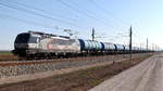 S Rail Lease 383 208 mit Kesselwagen bei Götzendorf (NÖ.) am 31.03.2021.