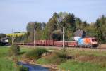 Gterzug 54685 mit der 1116 250 vorne drauf hat am  20.09.2010 Wartberg/Kr.