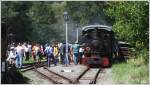 Dampftag 2012 auf der Gurkthalbahn - Die Bhler 13 von Krauss Mnchen (Bj 1941) ist soeben in Pckstein-Zwischenwssern angekommen.