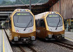 R56 nach Mariazell trifft R56 nach St. Pölten Hbf in Laubenbachmühle. Laubenbachmühle, 11.6.2023