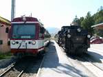 VTs 16 (Stuhlfelden ex 5090.06) und Mh 3 (ex 399.03) am 26.7.09 in Mittersil